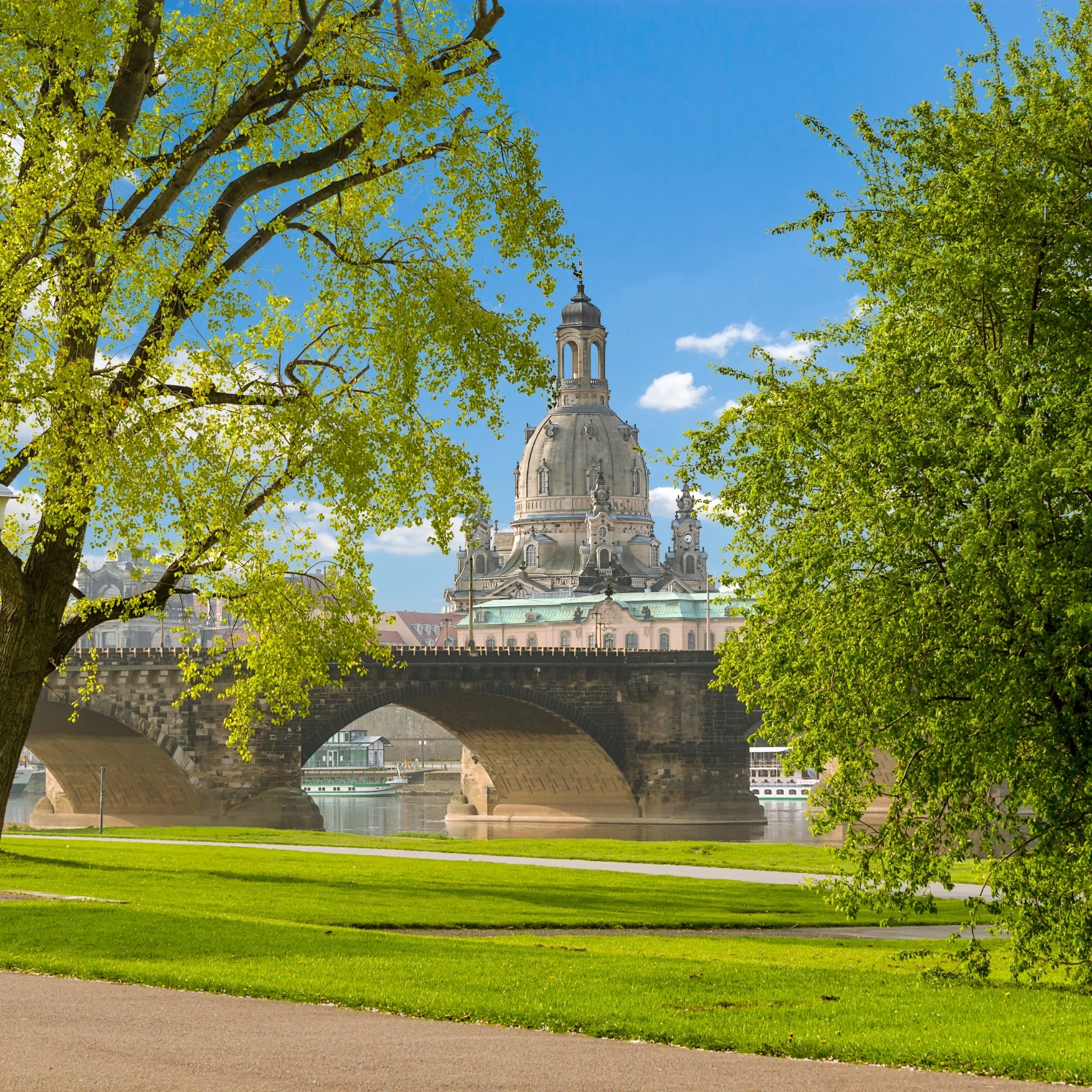 Grüner Park und im Hintergrund ist am anderen Elbufer die Frauenkirche in Dresden